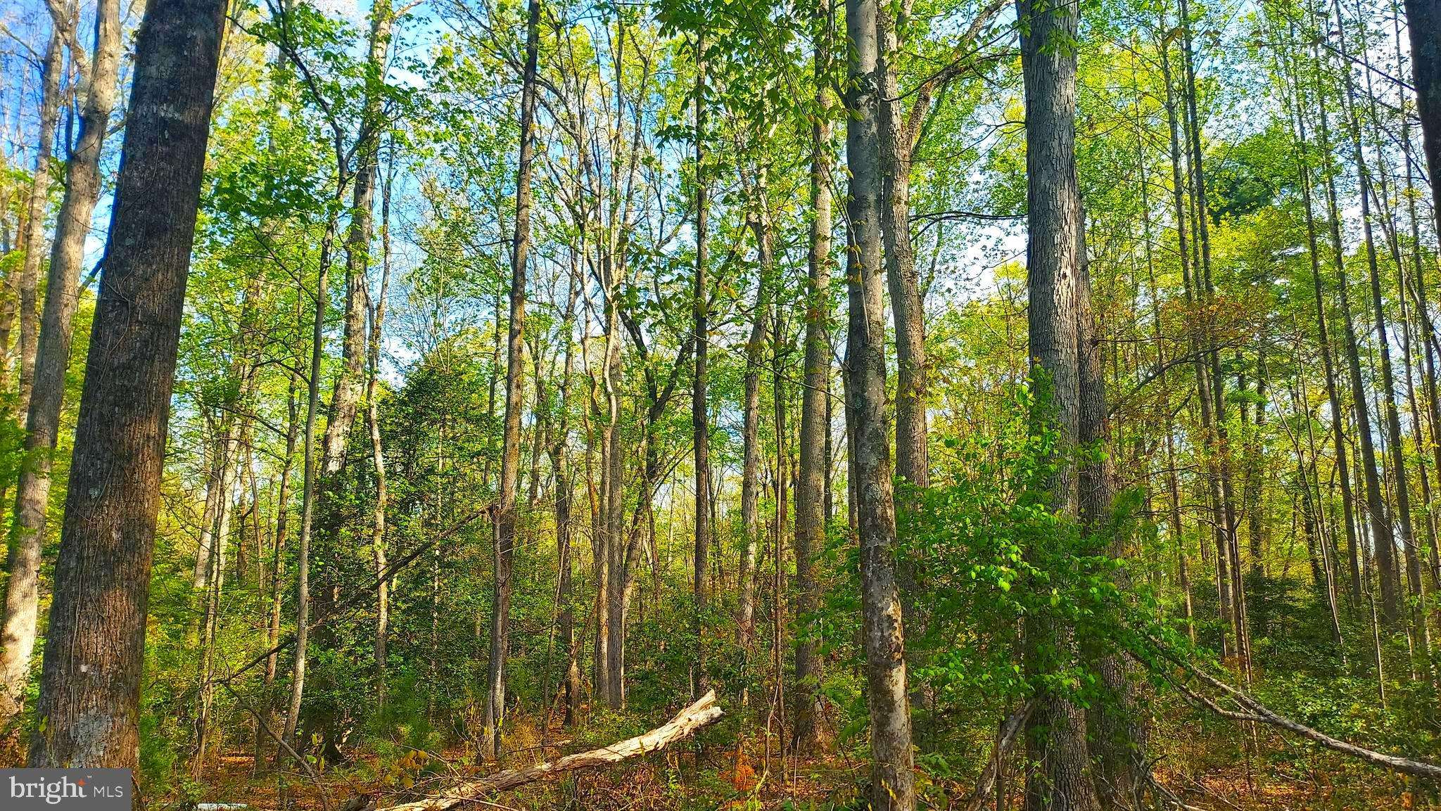 Louisa, VA 23093,LOT 1045 POPLAR DR