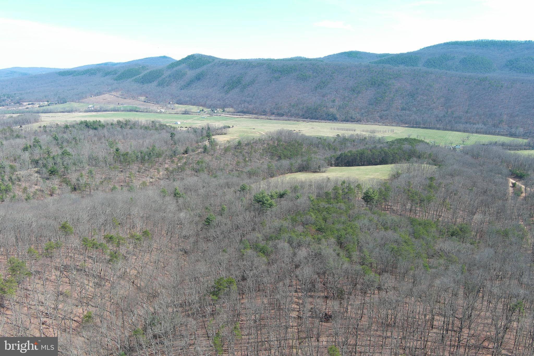 Augusta, WV 26704,96.42 ACRES SEDAN SCHOOL RD