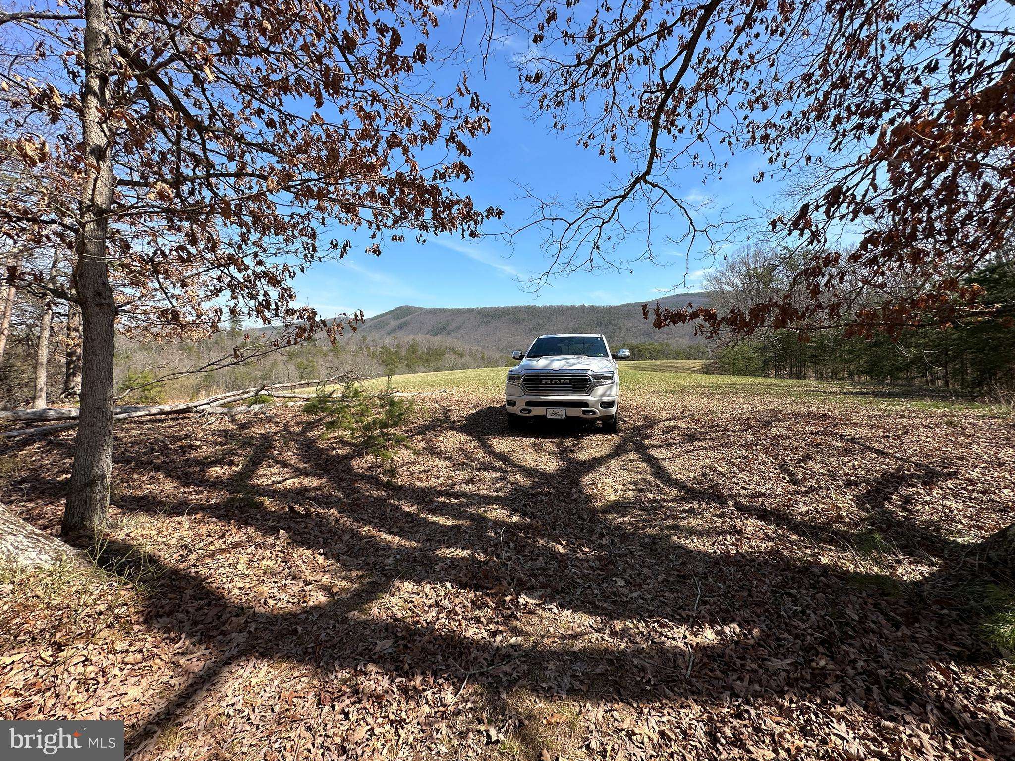 Augusta, WV 26704,96.42 ACRES SEDAN SCHOOL RD