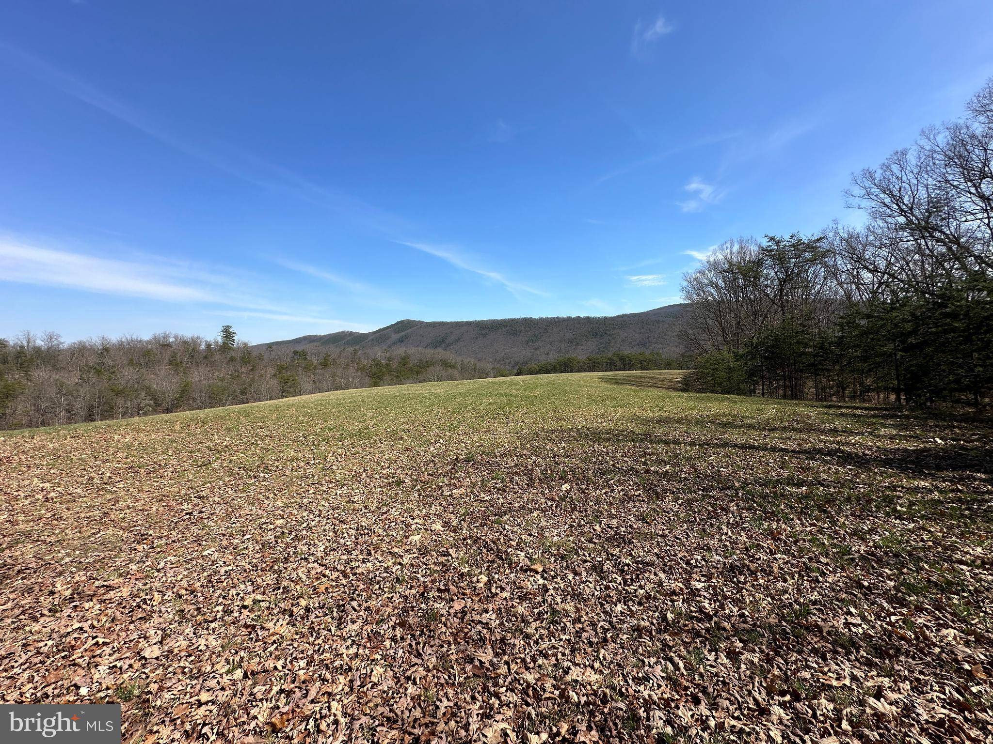 Augusta, WV 26704,96.42 ACRES SEDAN SCHOOL RD