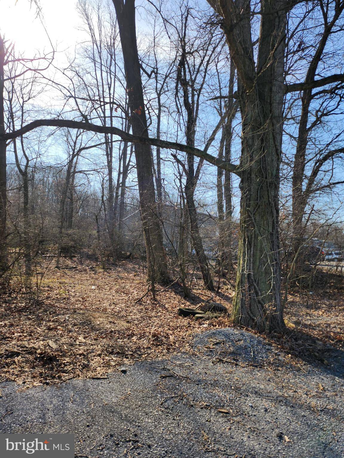 Temple, PA 19560,500 HICKORY AVE