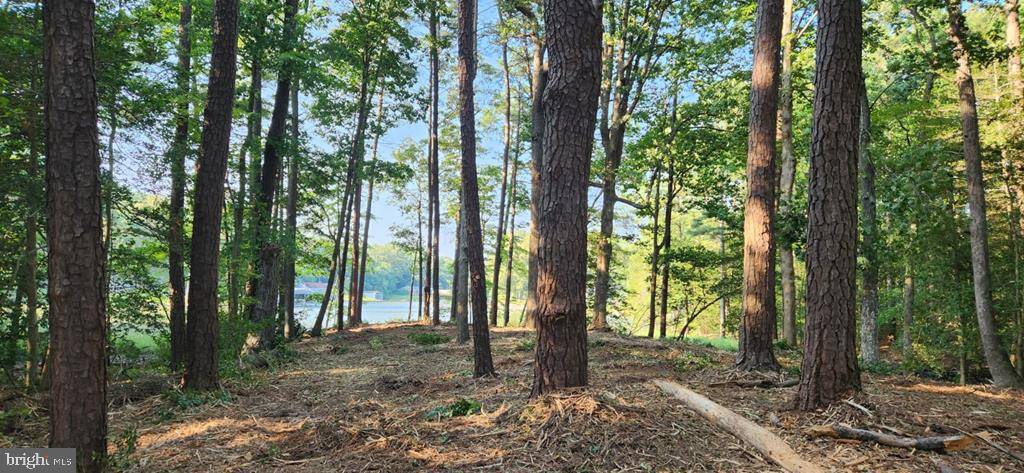 Heathsville, VA 22473,LOT 3 HARBOUR VIEW DR