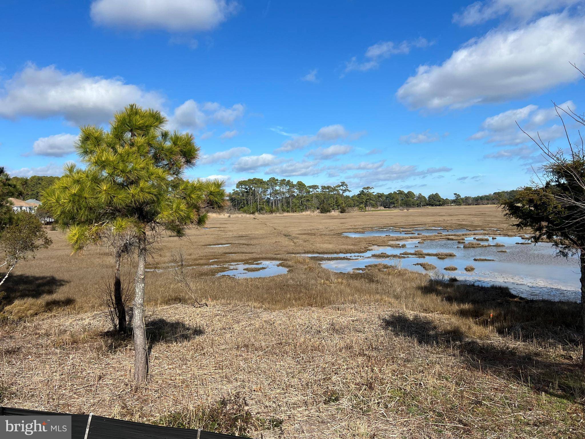 Berlin, MD 21811,12452 COASTAL MARSH #79