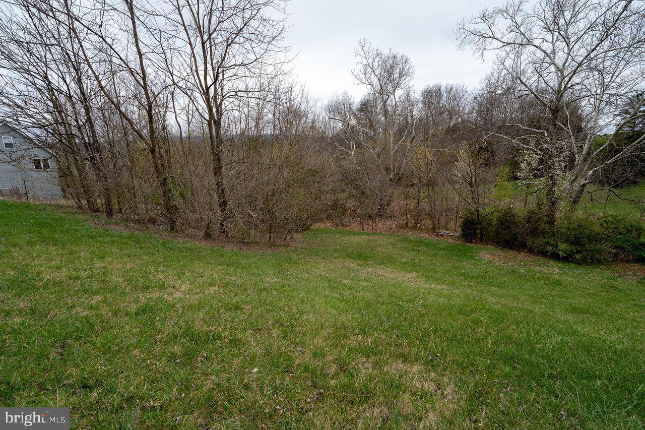 Shenandoah, VA 22849,LOT 34 LOCUSTDALE LOOP