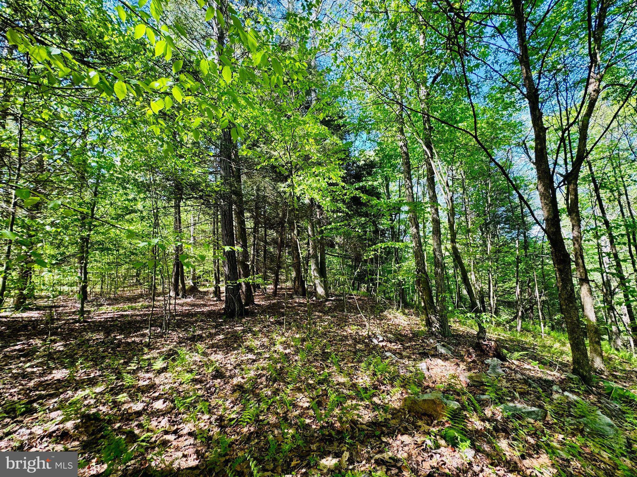 James Creek, PA 16657,LOT: 10 PARADISE POINT