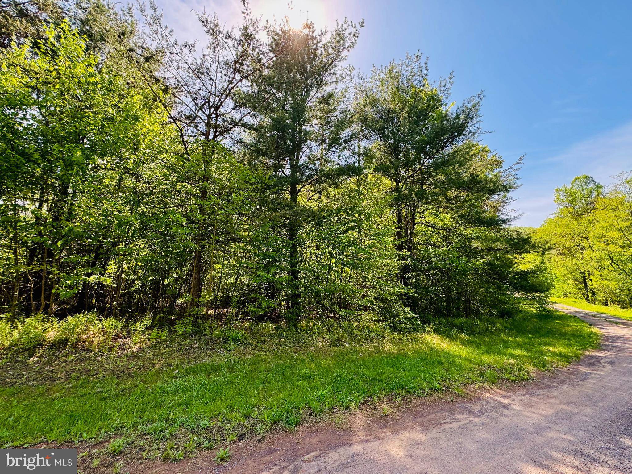 James Creek, PA 16657,LOT: 42 PARADISE POINT