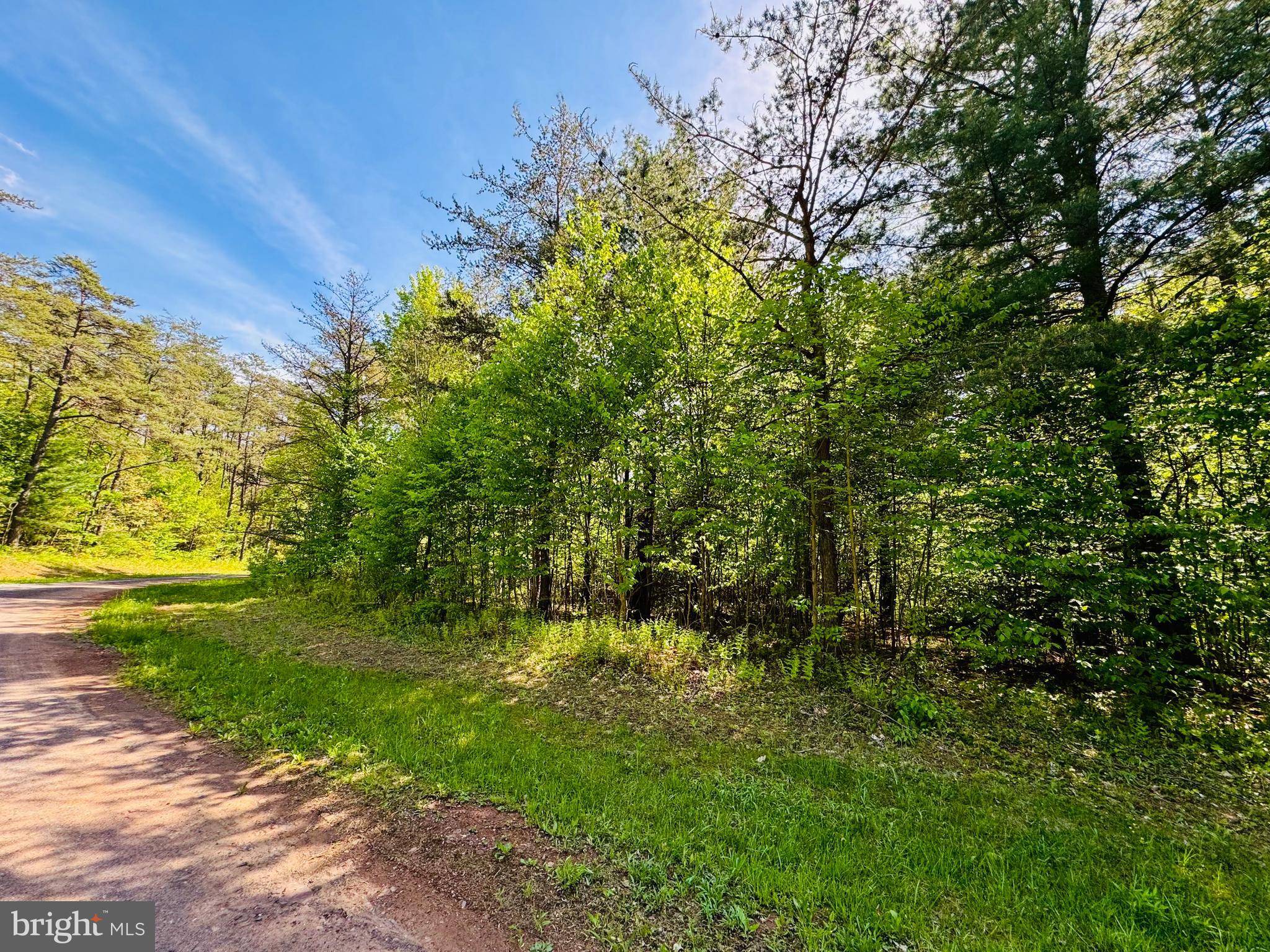 James Creek, PA 16657,LOT: 42 PARADISE POINT