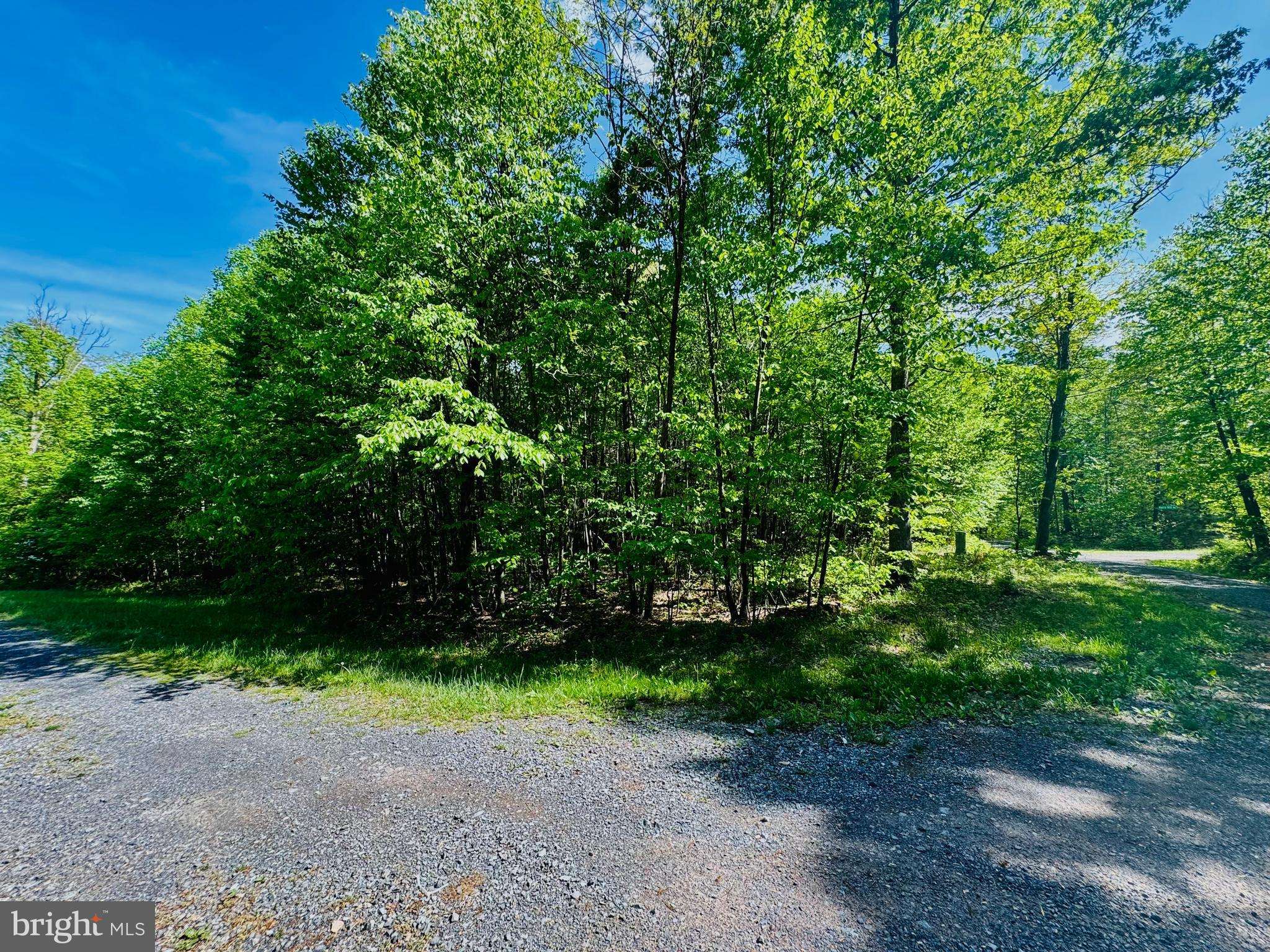 James Creek, PA 16657,LOT: 46 PARADISE POINT