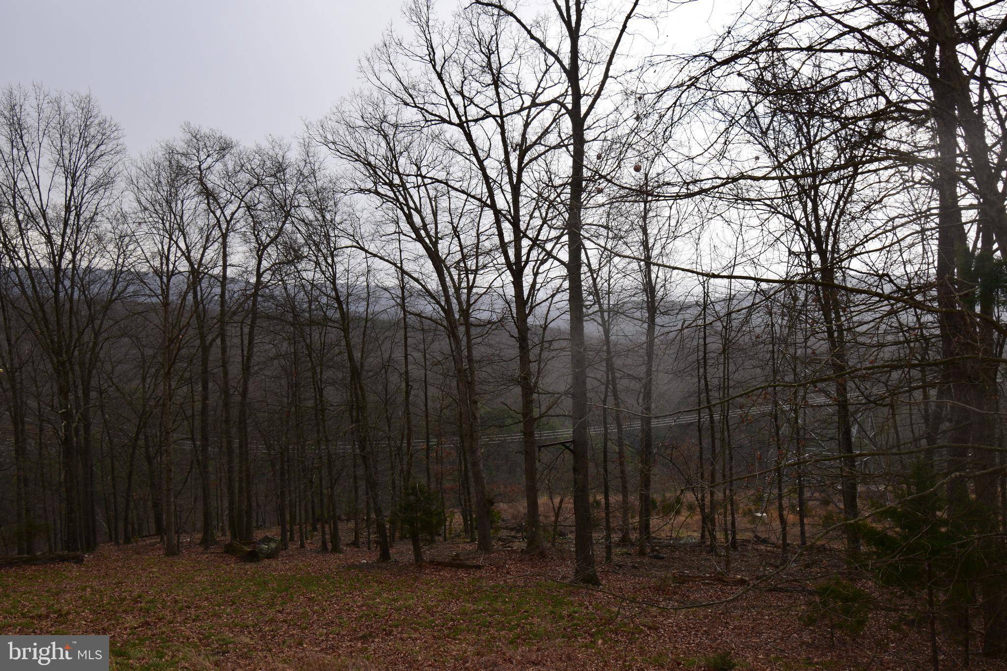 Old Fields, WV 26845,884 TROUGH OVERLOOK