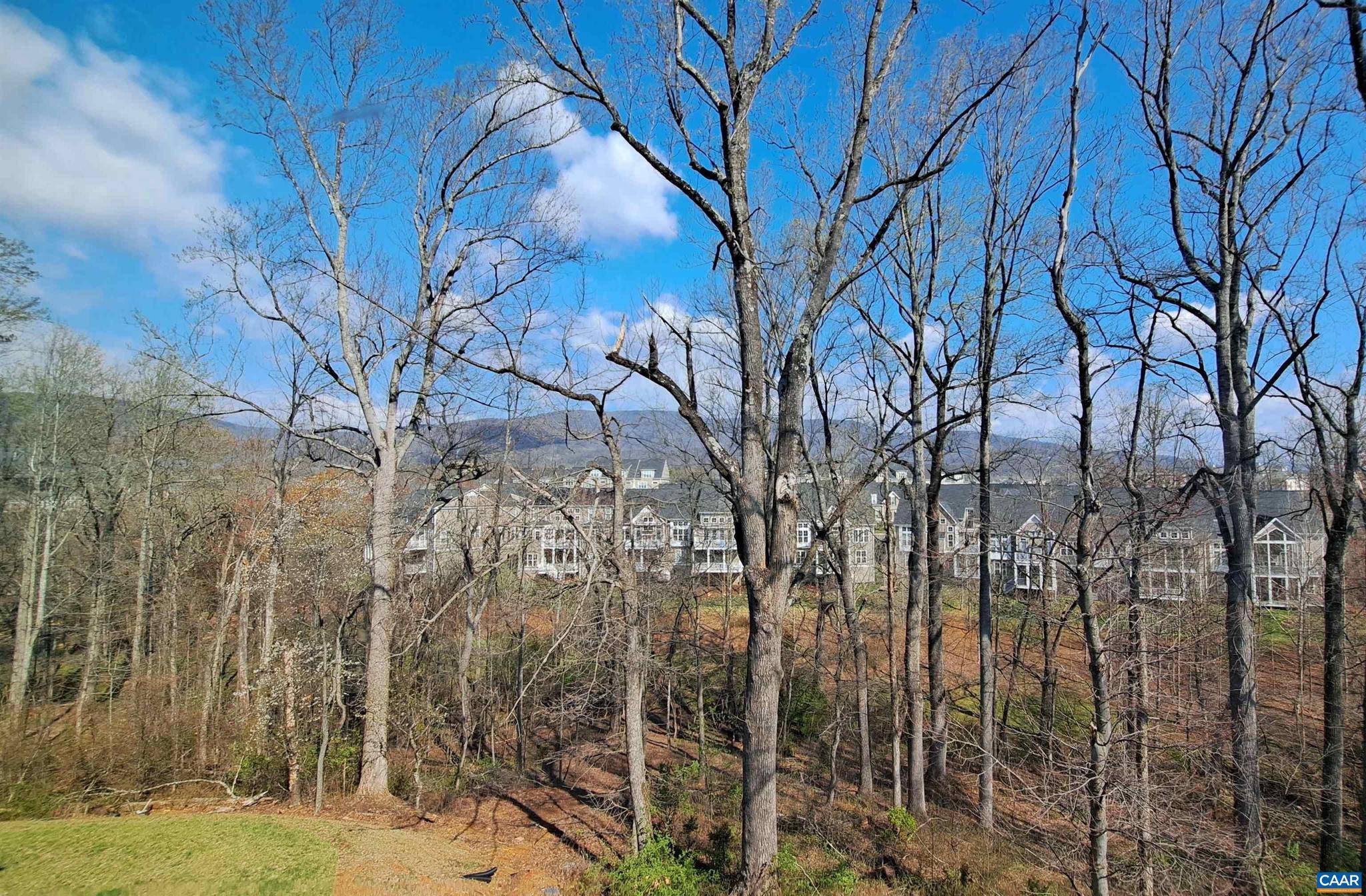 Crozet, VA 22932,234 BISHOPGATE LN