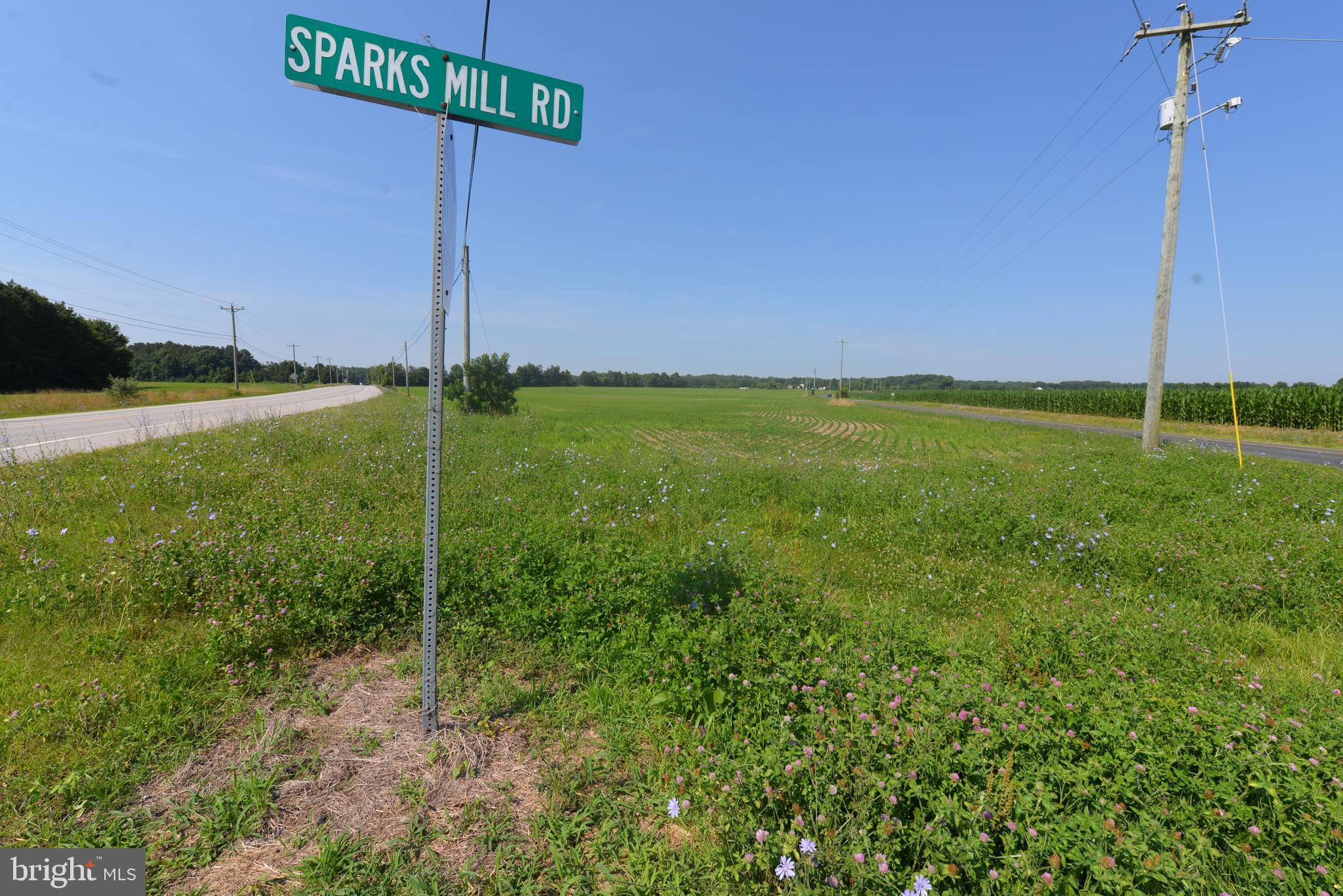 Centreville, MD 21617,SPARKS CORNER SPARKS MILL AT ROUTE 213 RD