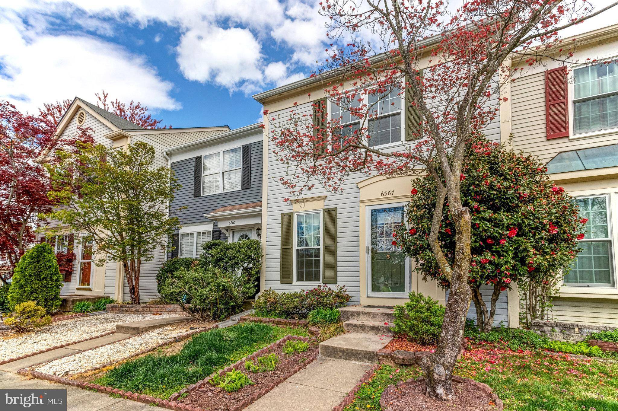 Alexandria, VA 22315,6567 OLD CARRIAGE DR