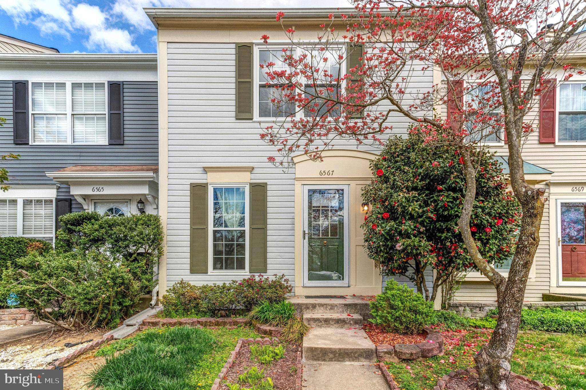 Alexandria, VA 22315,6567 OLD CARRIAGE DR