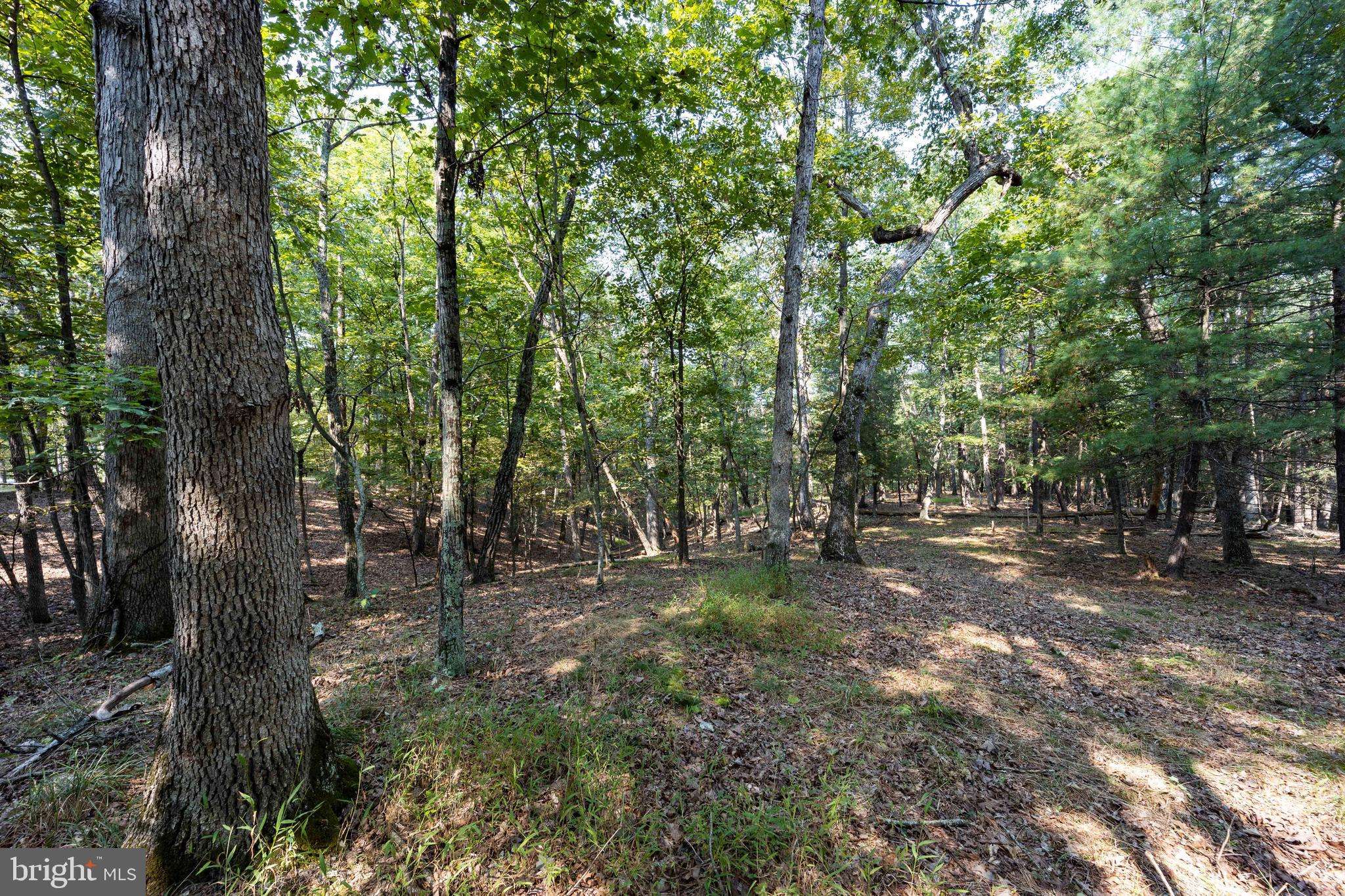 Gerrardstown, WV 25420,LOT 12 BROOMGRASS WAY