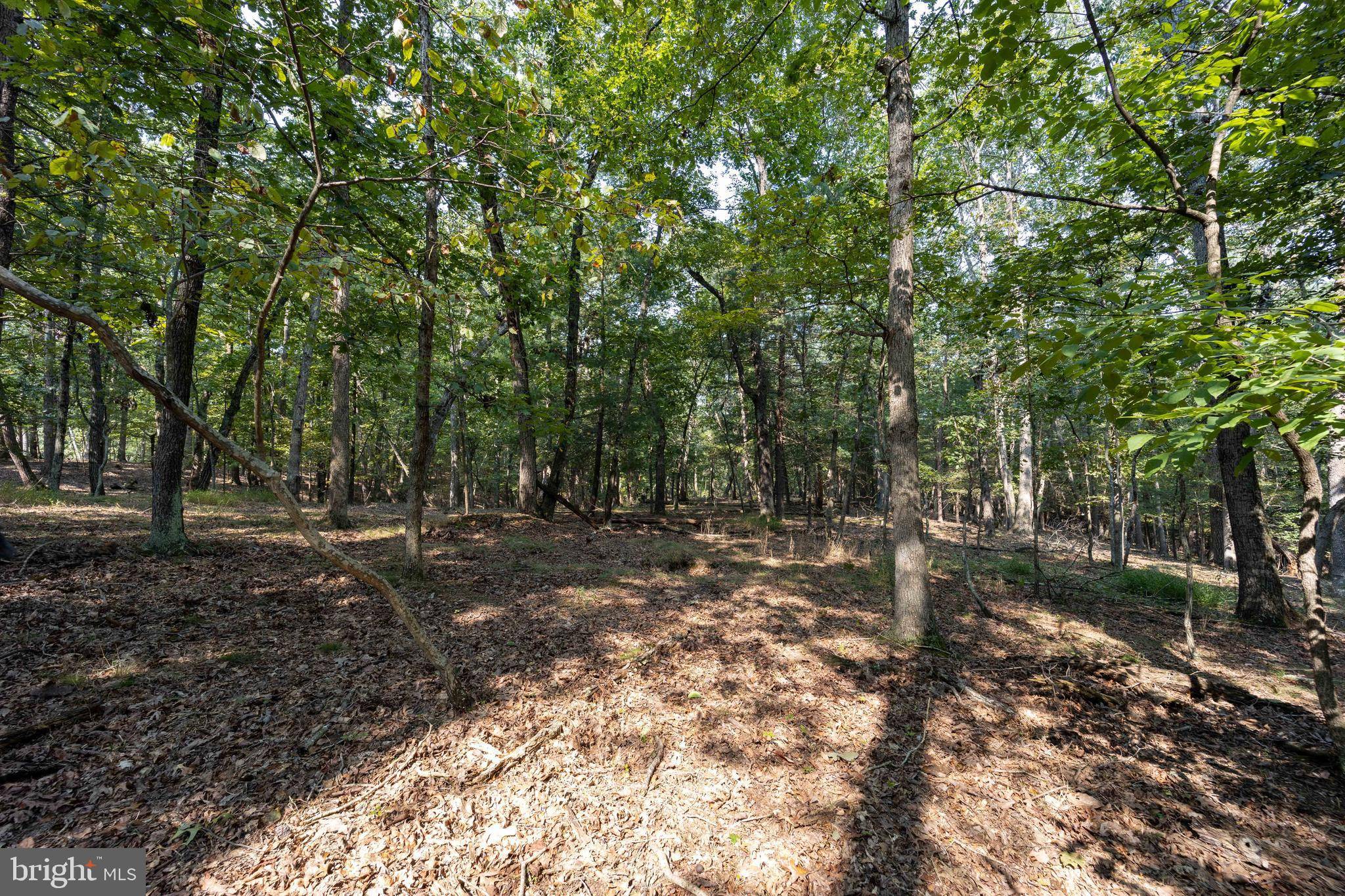 Gerrardstown, WV 25420,LOT 12 BROOMGRASS WAY