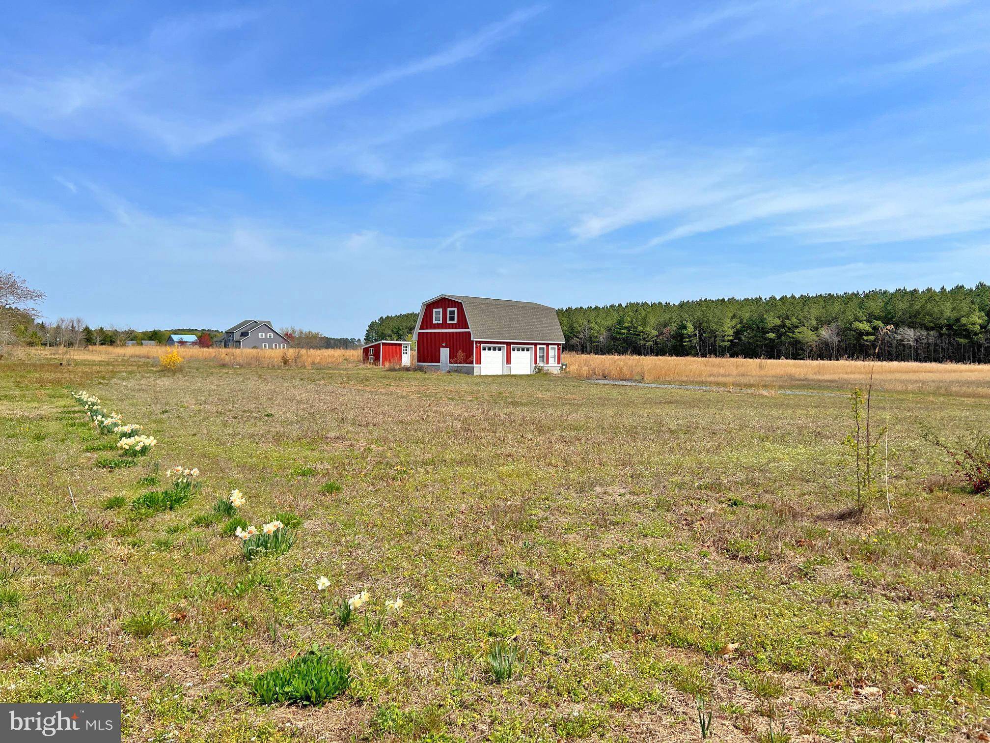 Georgetown, DE 19947,LOT #4 AVALON & LAWSON RD