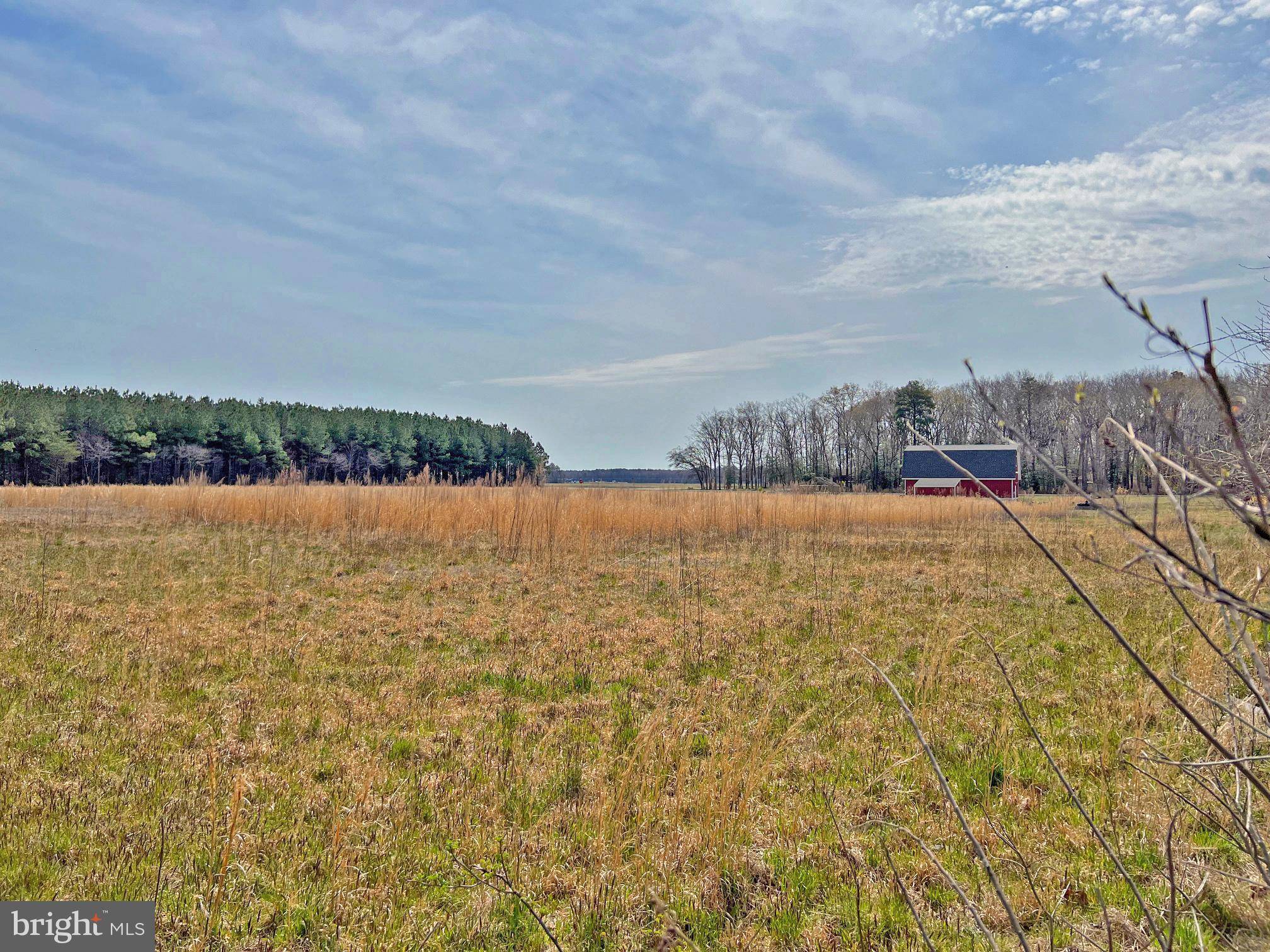 Georgetown, DE 19947,LOT #4 AVALON & LAWSON RD