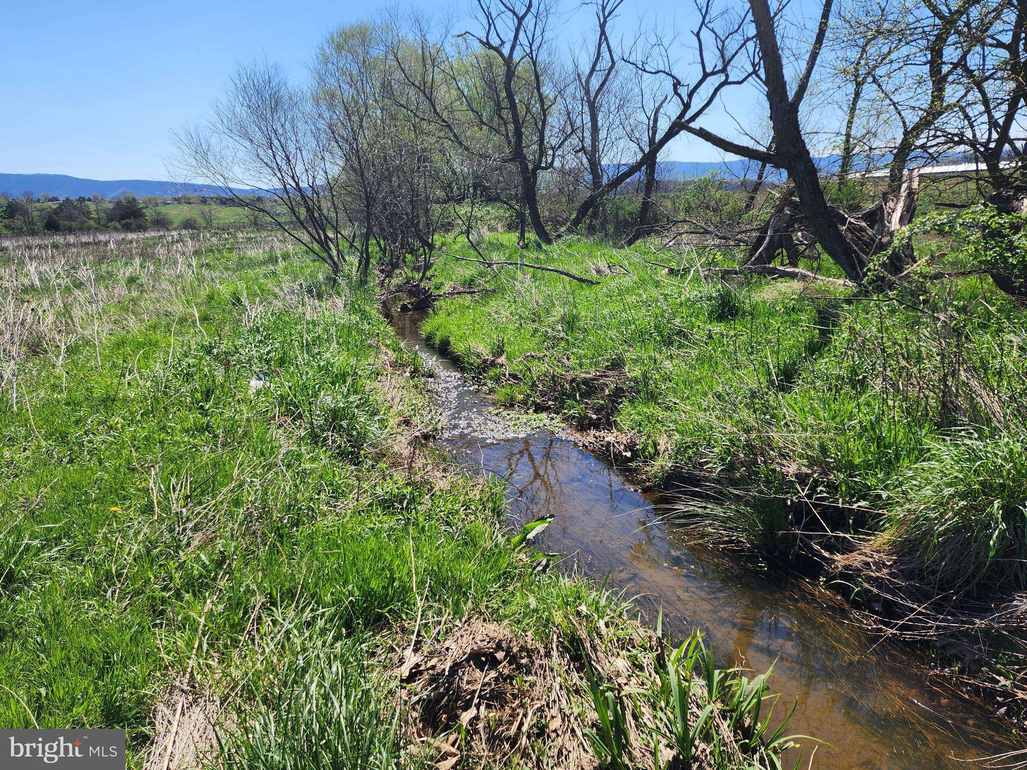 Old Fields, WV 26845,LOT 6 WISTERIA LN