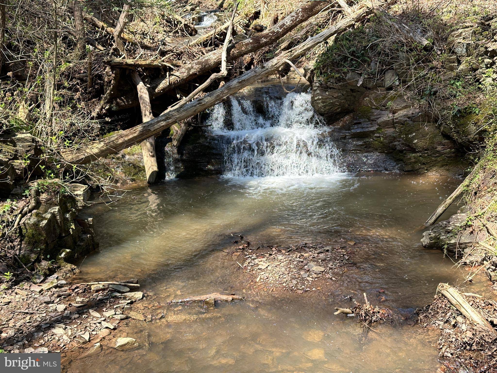 Paw Paw, WV 25434,1905 CABIN RUN RD