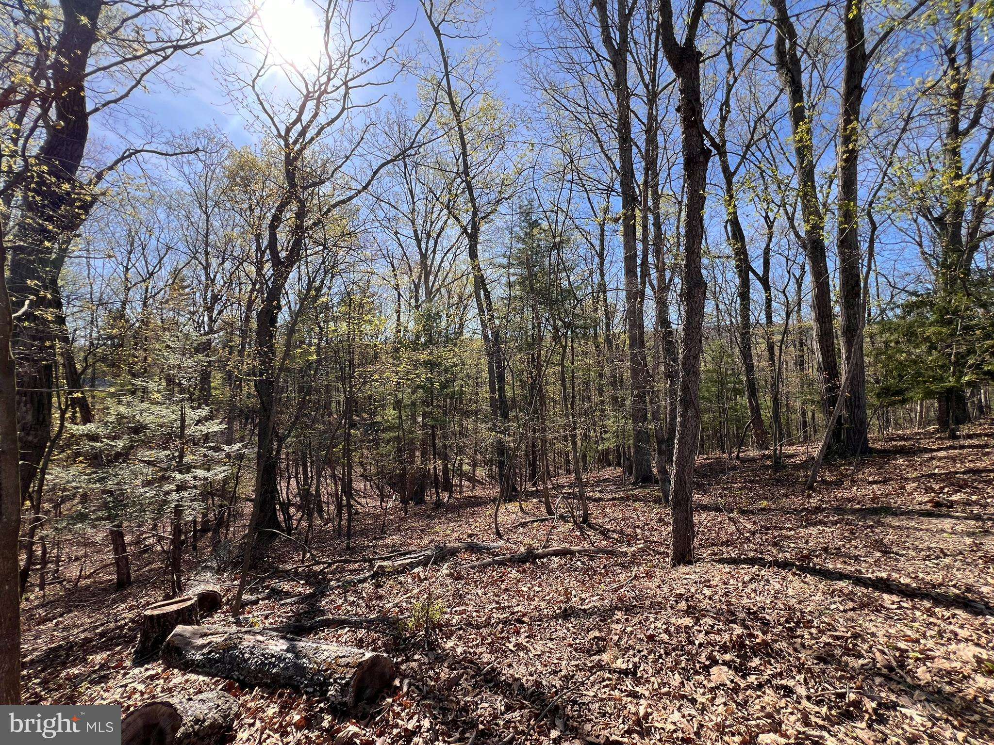 Hedgesville, WV 25427,LOT 5 WHISTLER LANE