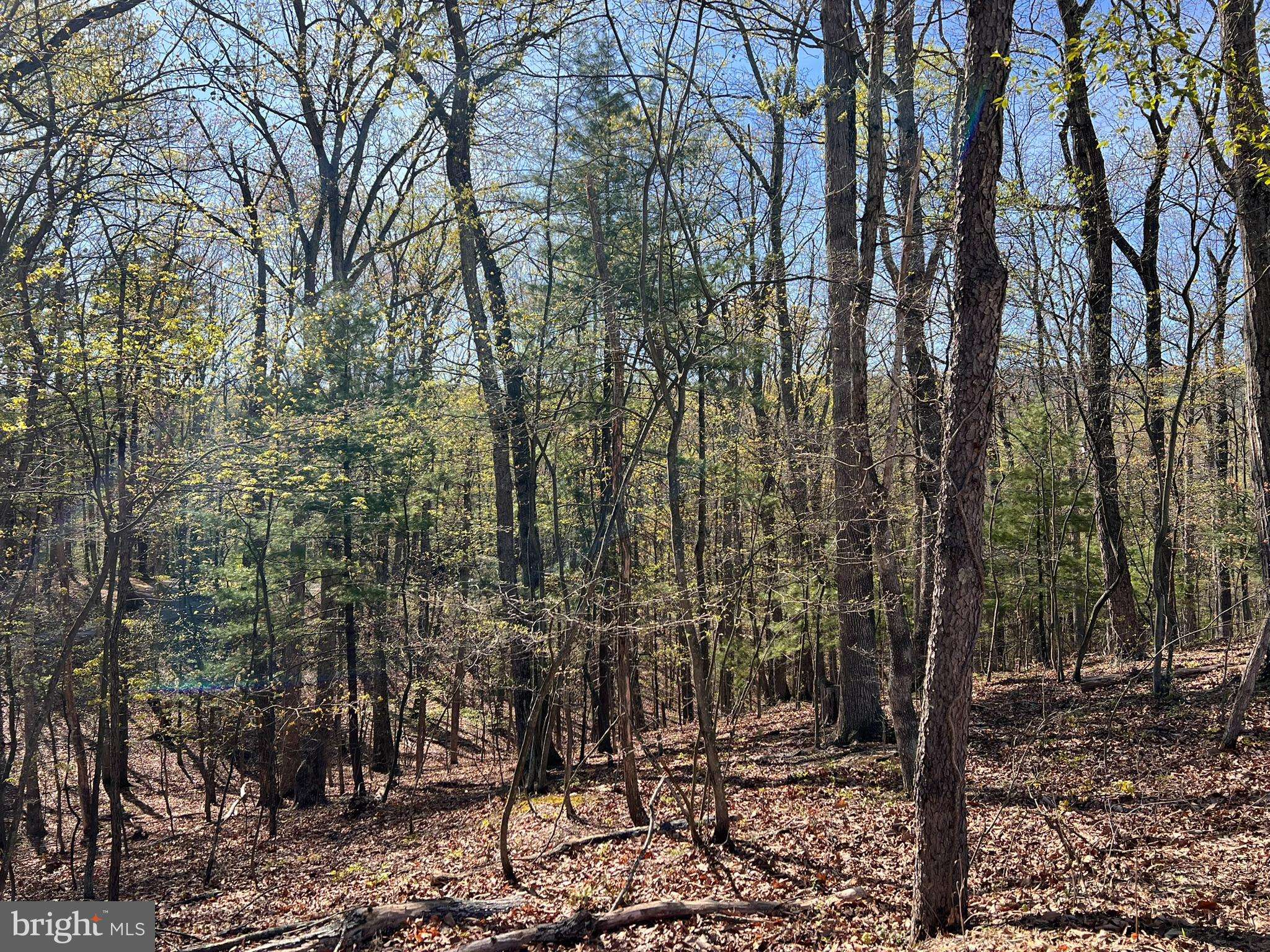 Hedgesville, WV 25427,LOT 5 WHISTLER LANE