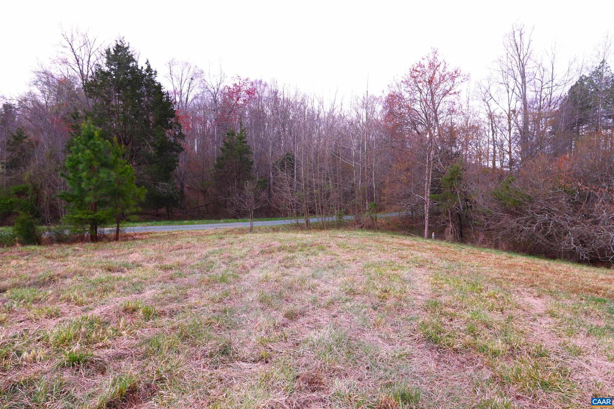 Scottsville, VA 24590,ROLLING HILLS LN #4