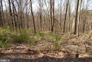 Berkeley Springs, WV 25411,LOT 1 SPICY CEDAR LANE