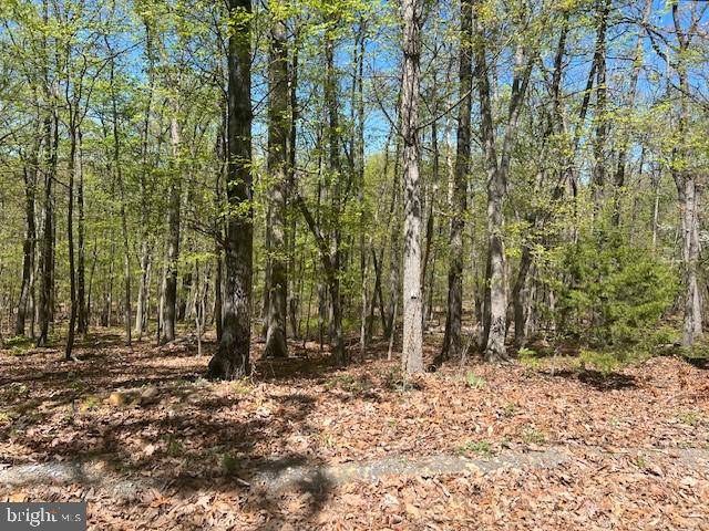 Shenandoah, VA 22849,LOT 24 WILDWOOD LN