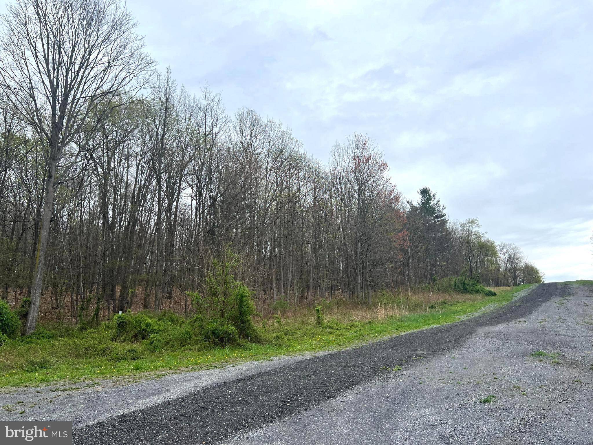 Everett, PA 15537,LOT #17 RIDGE WAY DRIVE