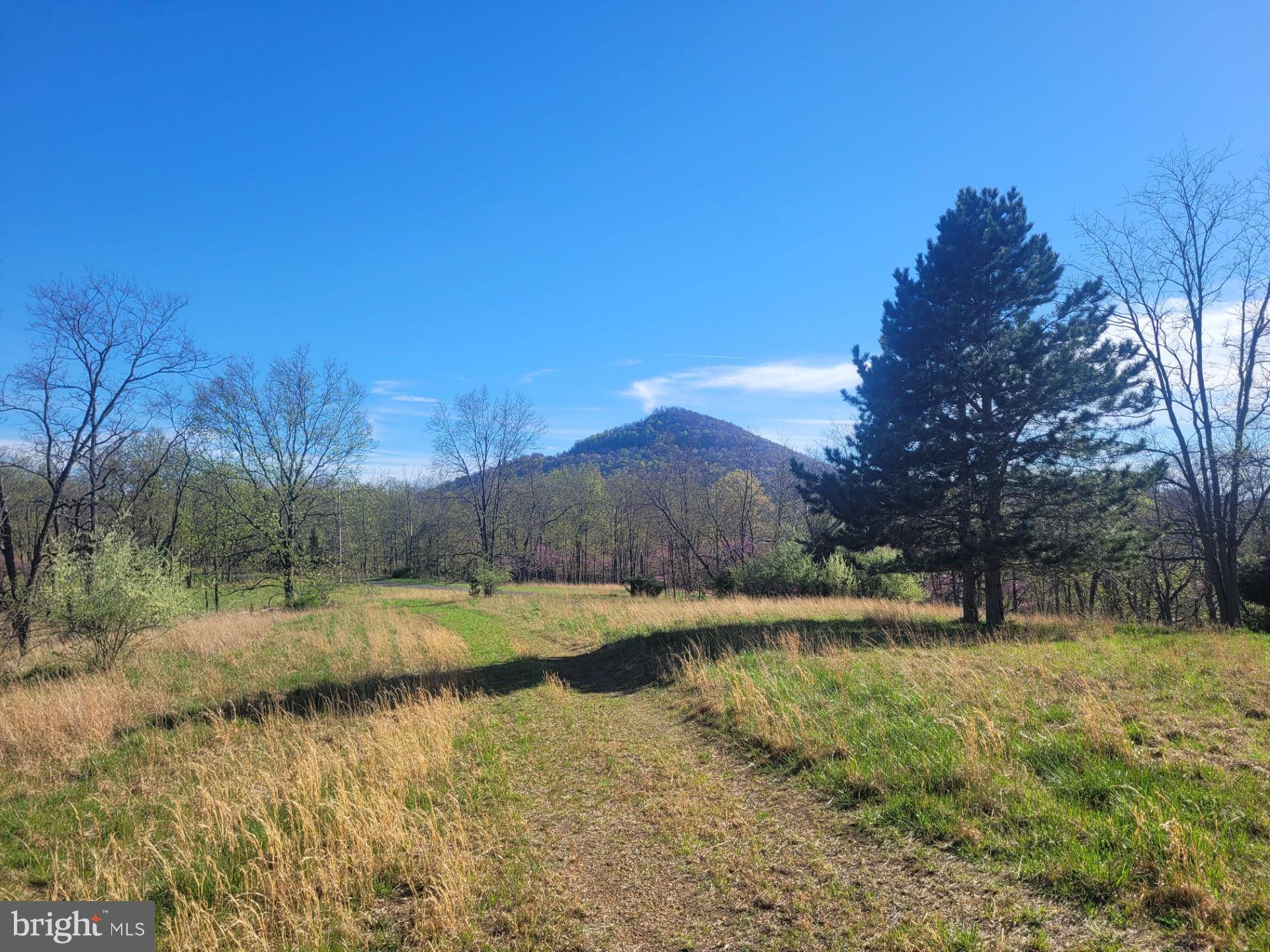 Old Fields, WV 26845,HIGH VIEW RD