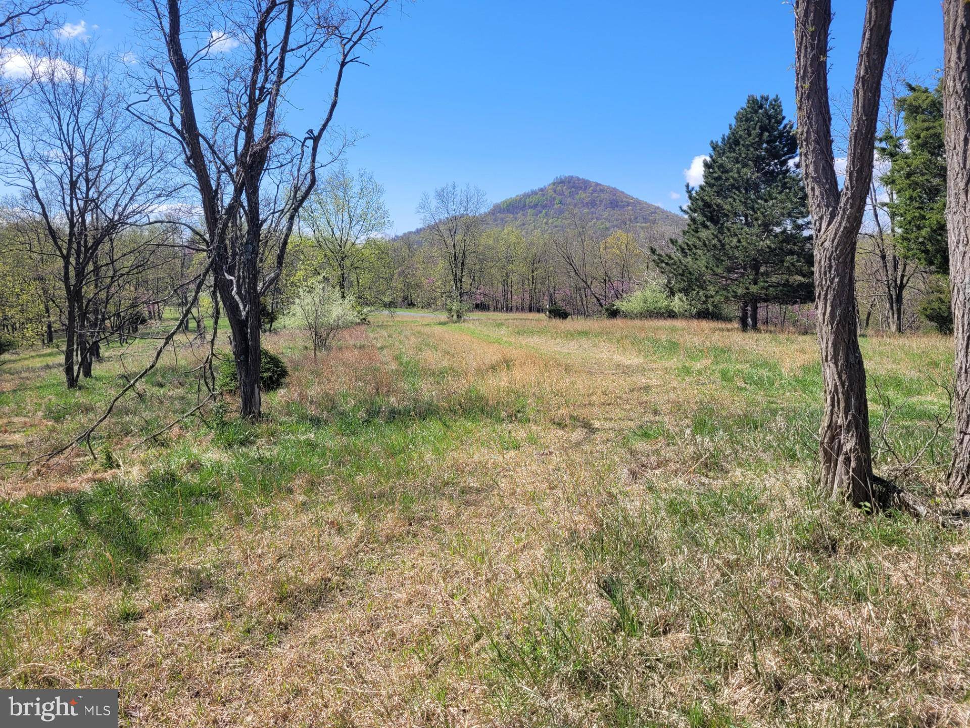 Old Fields, WV 26845,HIGH VIEW RD