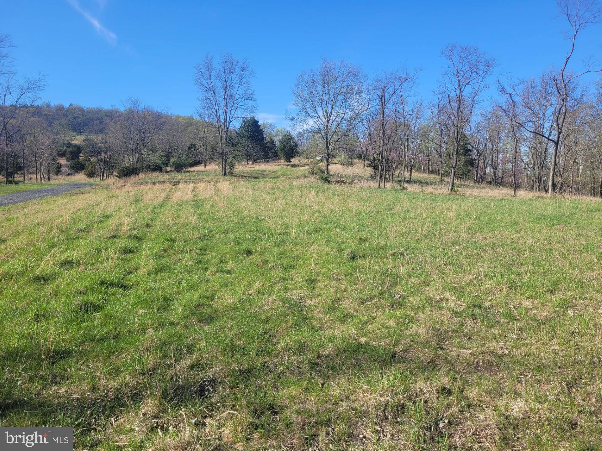 Old Fields, WV 26845,HIGH VIEW RD