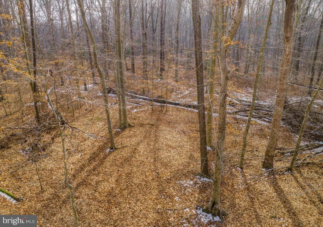 La Plata, MD 20646,9015 MITCHELL RD