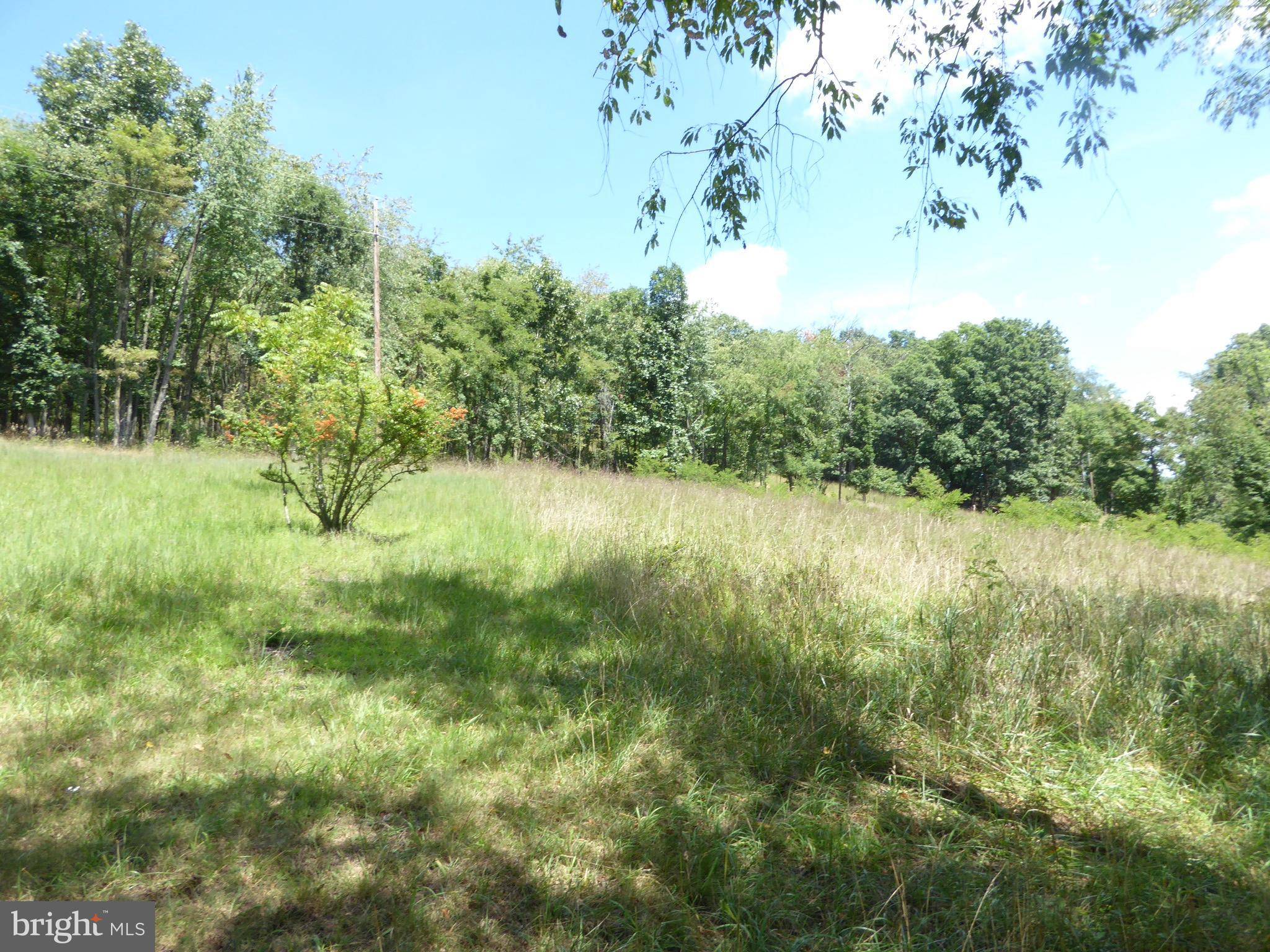 Romney, WV 26757,LOT 6 PEAR LN