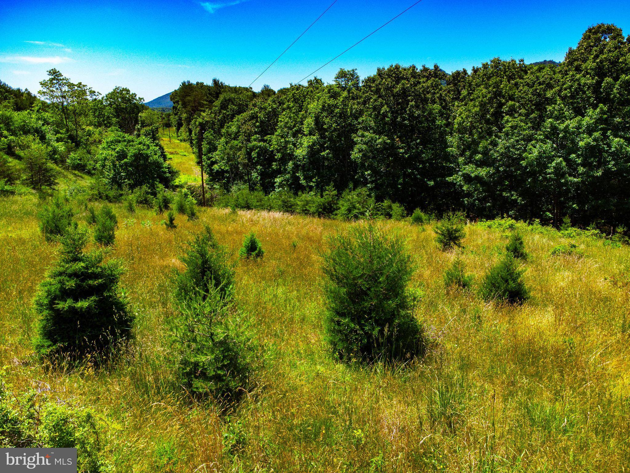 Shade Gap, PA 17255,LOT 1 CROGHAN PIKE