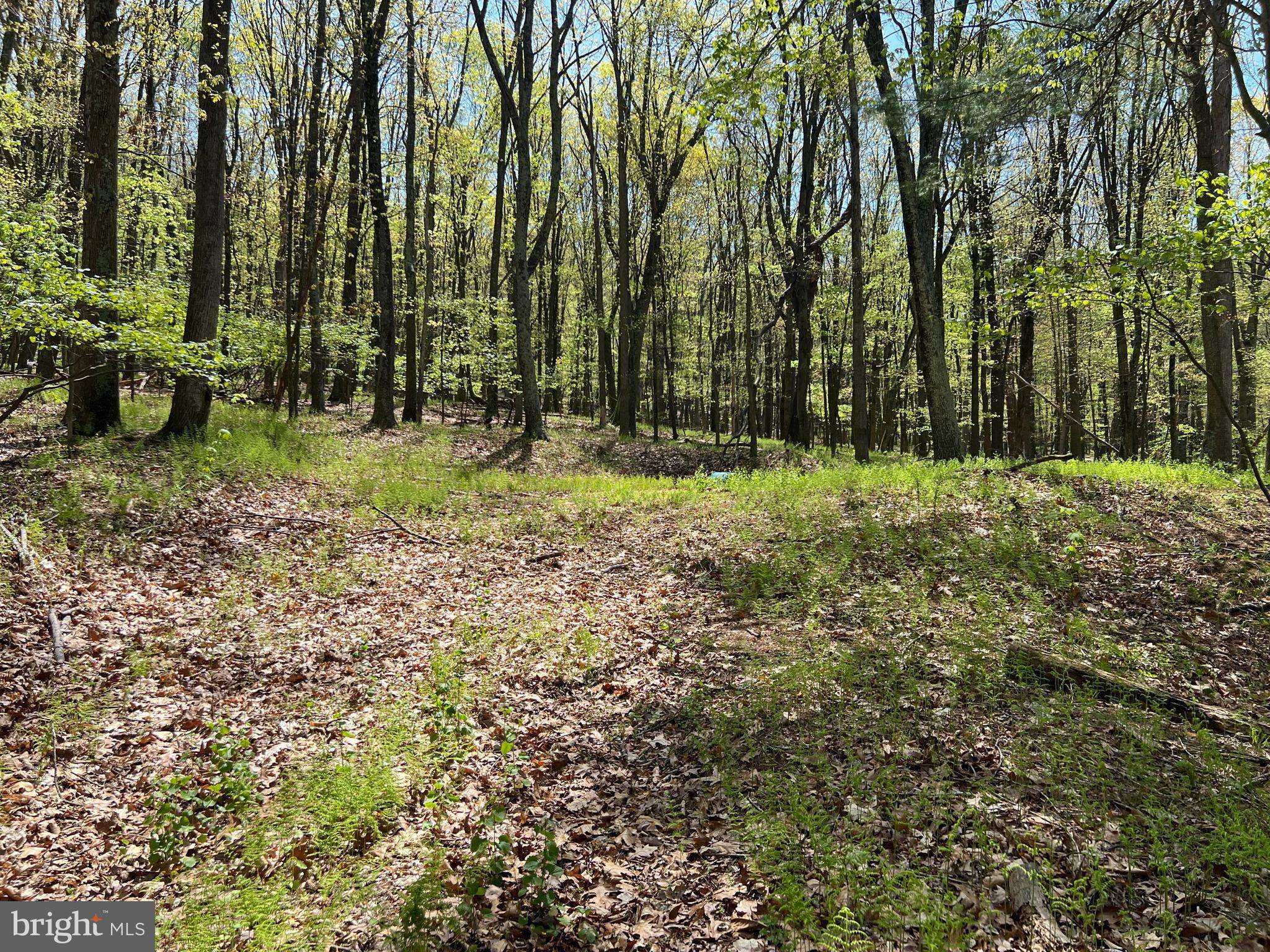 Clearville, PA 15535,LOT 4 BLACK VALLEY ROAD