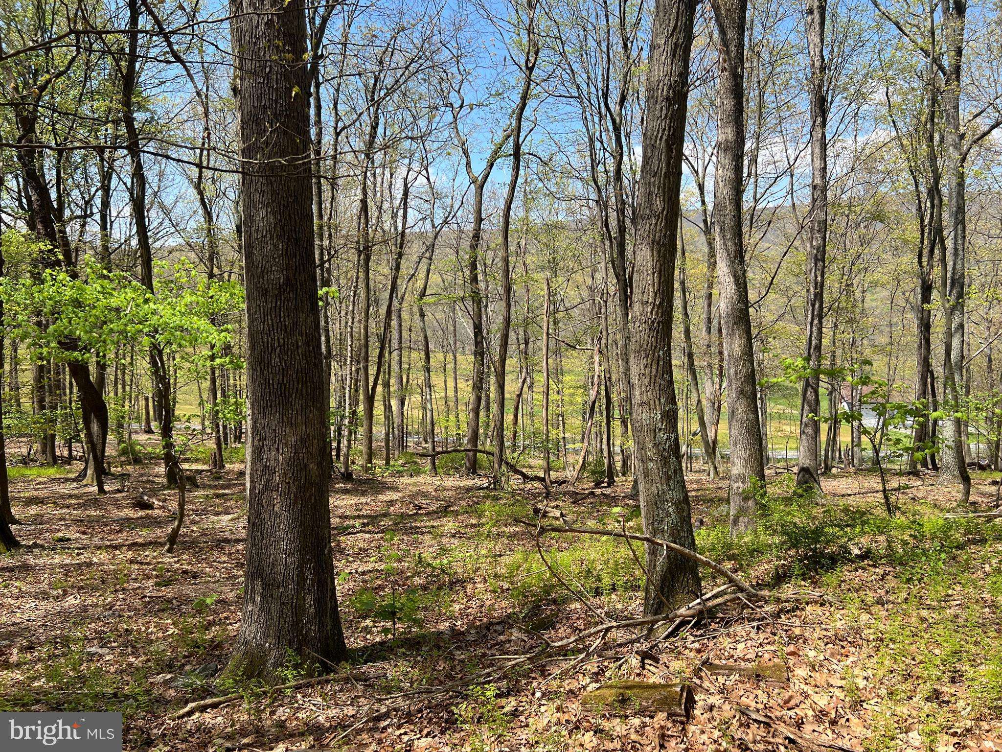 Clearville, PA 15535,LOT 4 BLACK VALLEY ROAD