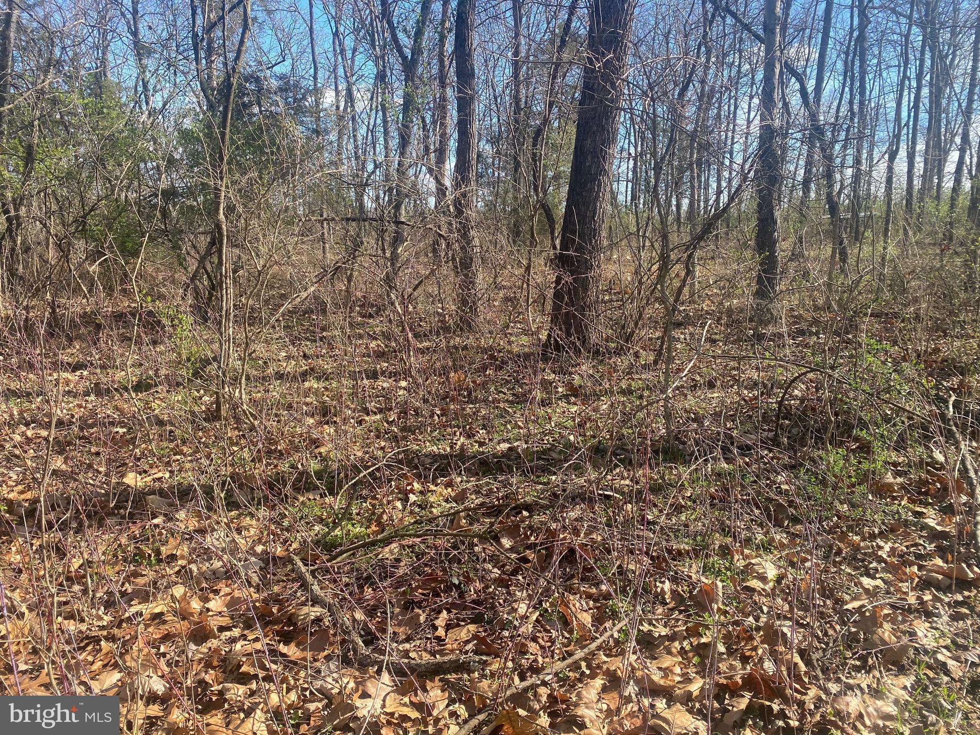 Kearneysville, WV 25430,LOT B HINTON RD