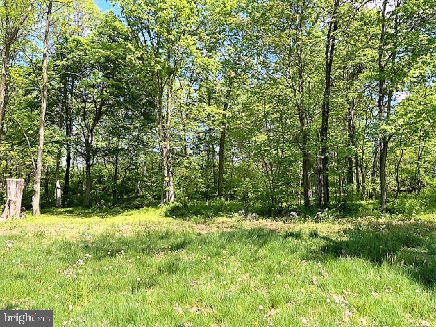 Martinsburg, WV 25405,LOT 7 ROPP DR