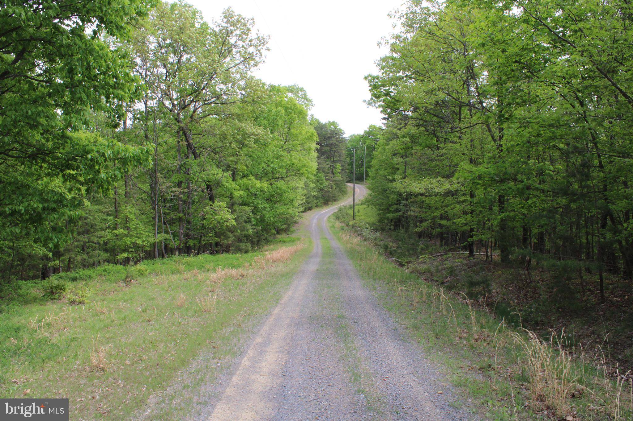 Springfield, WV 26763,21.23 AC OAK RIDGE RD