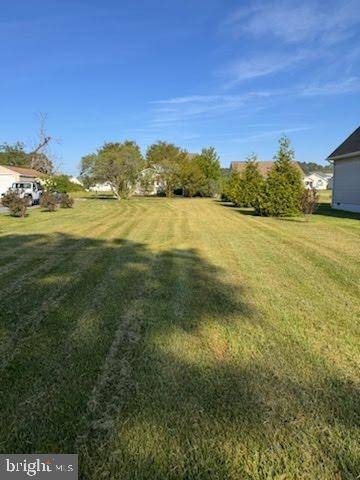 Greenbackville, VA 23356,LOT 123 PIKE DR