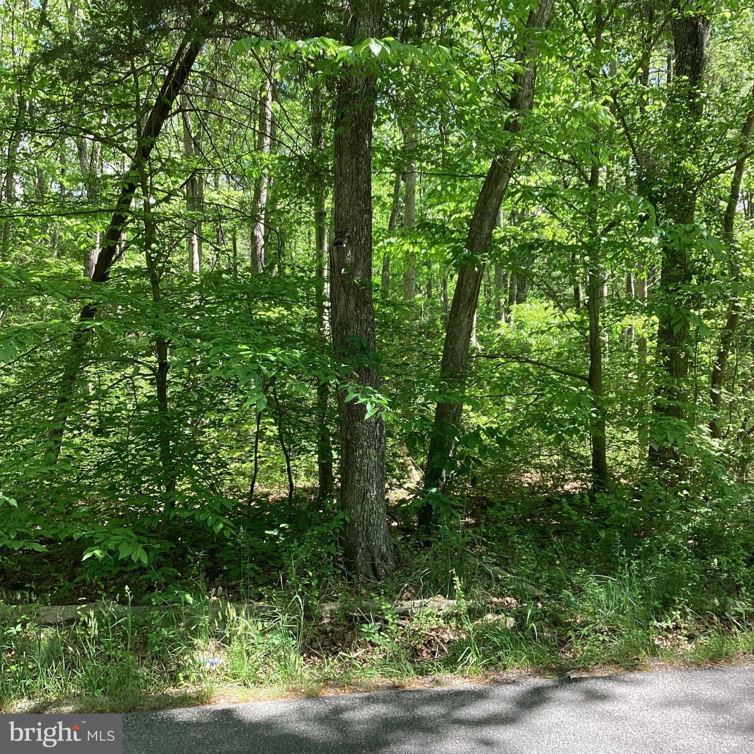 Beaverdam, VA 23015,2127 MOUNT OLIVE RD