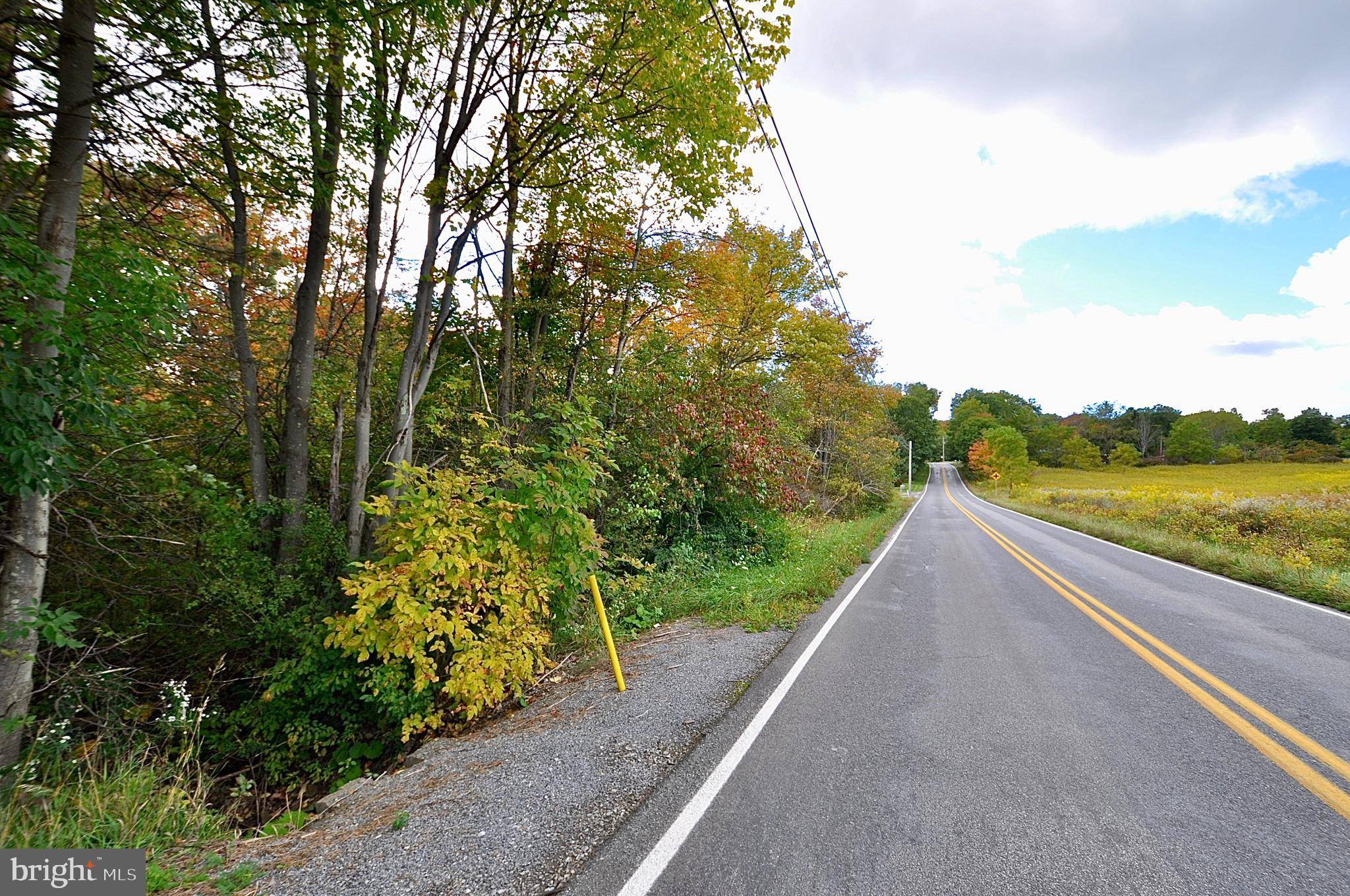 West Decatur, PA 16878,ALONG LINK ROAD AND TWOEY LANE