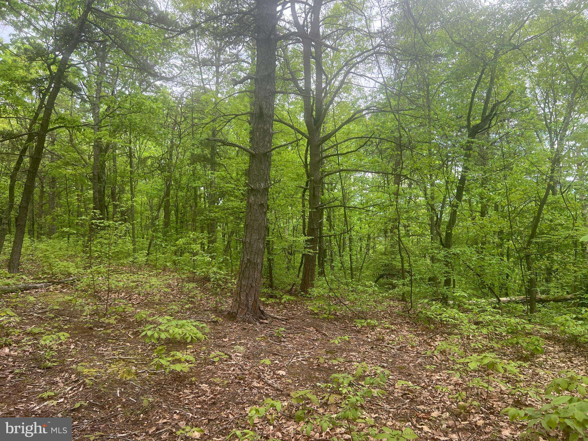 Clearville, PA 15535,LOT 25 JEREMIAH WAY