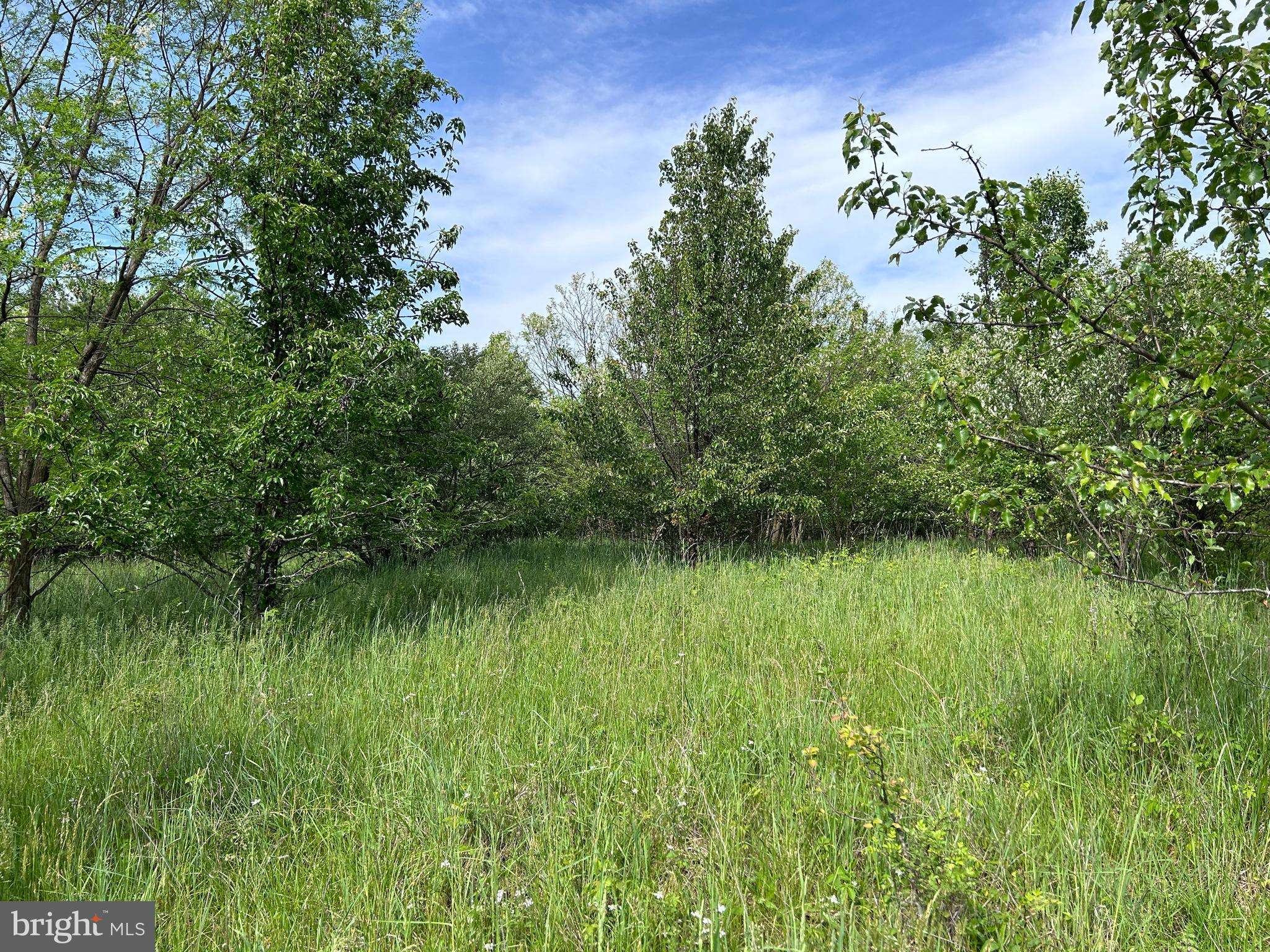 Berkeley Springs, WV 25411,LOT 8 TIMBER RIDGE ROAD