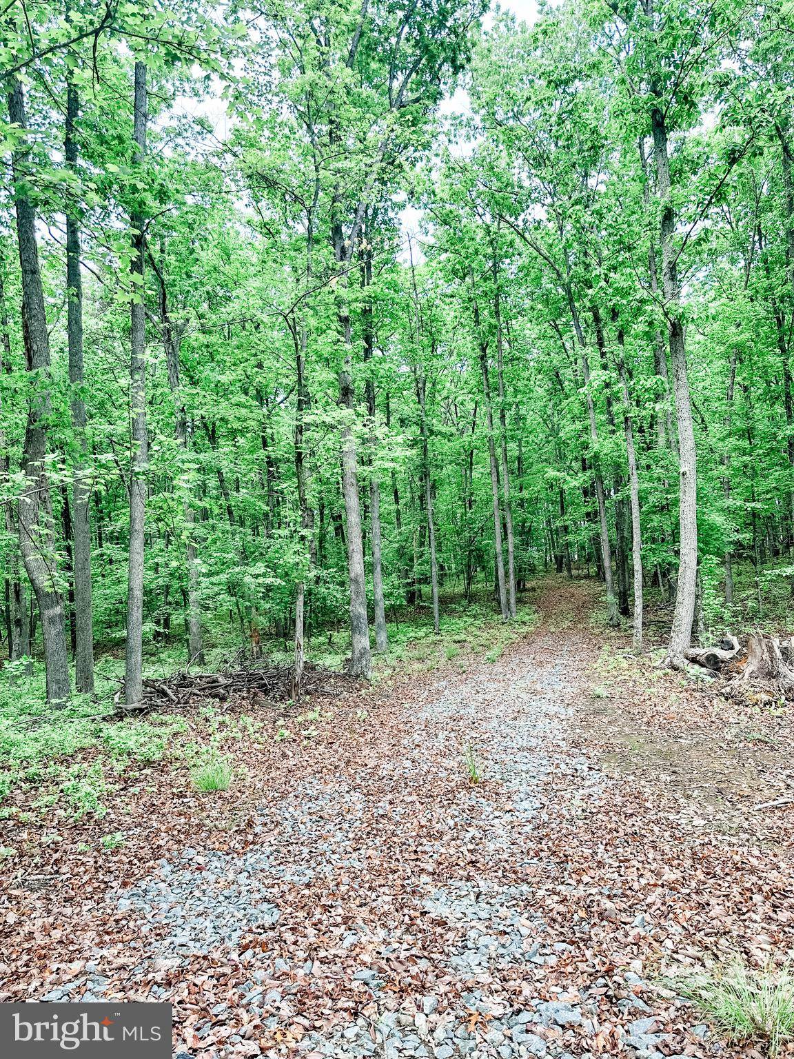 Unionville, VA 22567,LOT 5 INDEPENDENCE RD