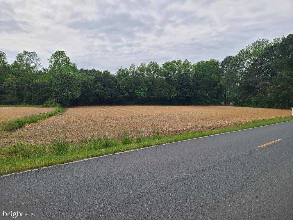 Pittsville, MD 21850,LOT 3 MORRIS RD