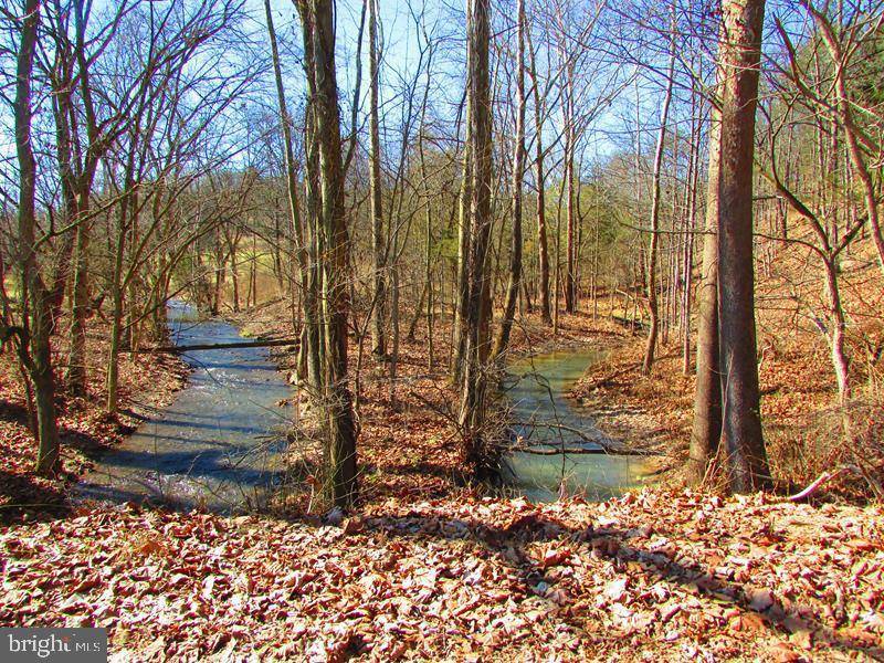 Romney, WV 26757,3 LONG ACRE ESTATES