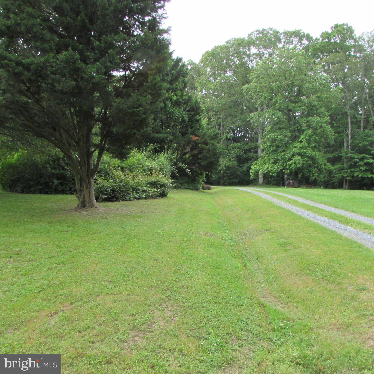 Trappe, MD 21673,5935 BAY ACRES RD