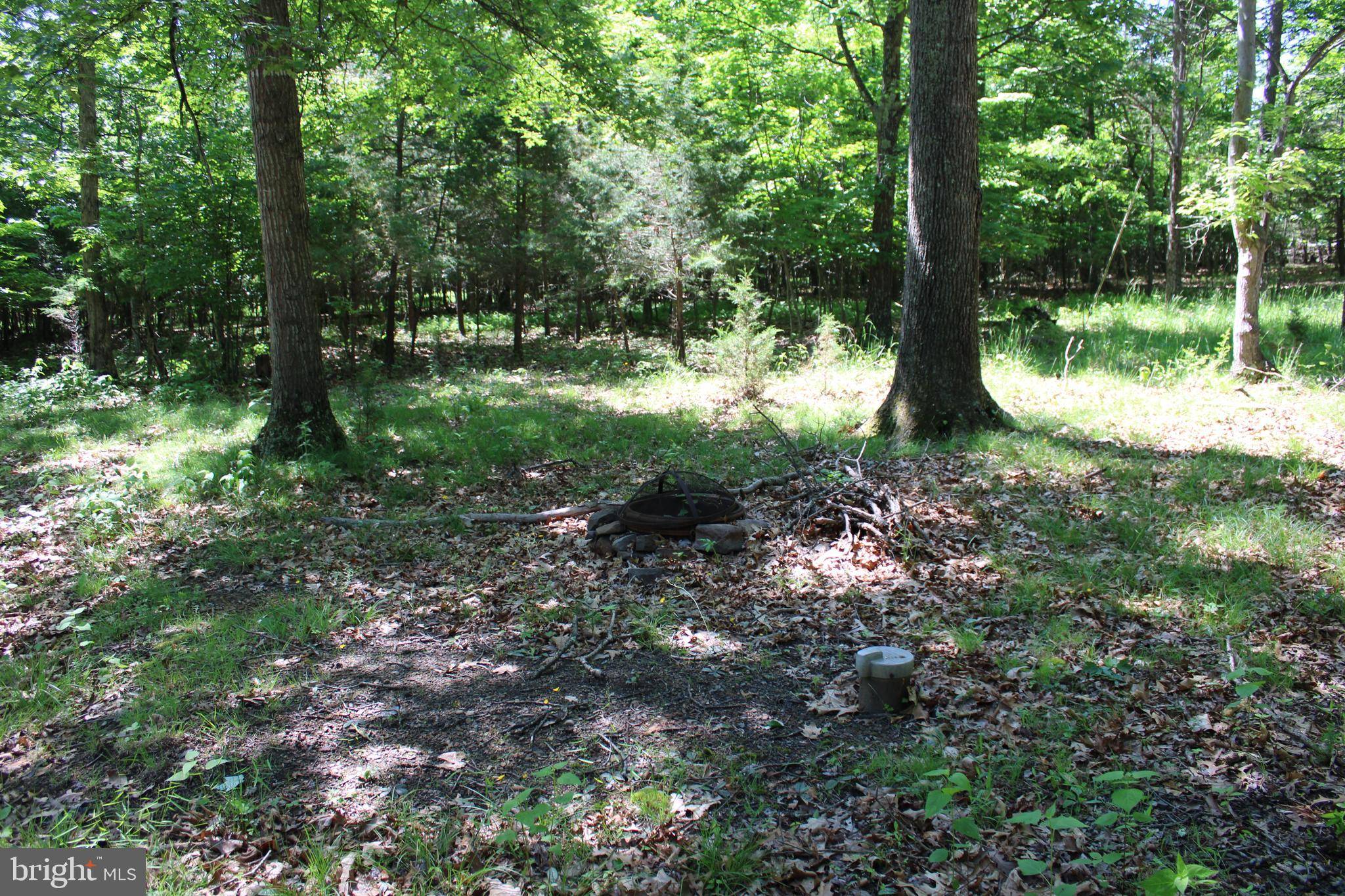 Springfield, WV 26763,LOT 8 KING CT